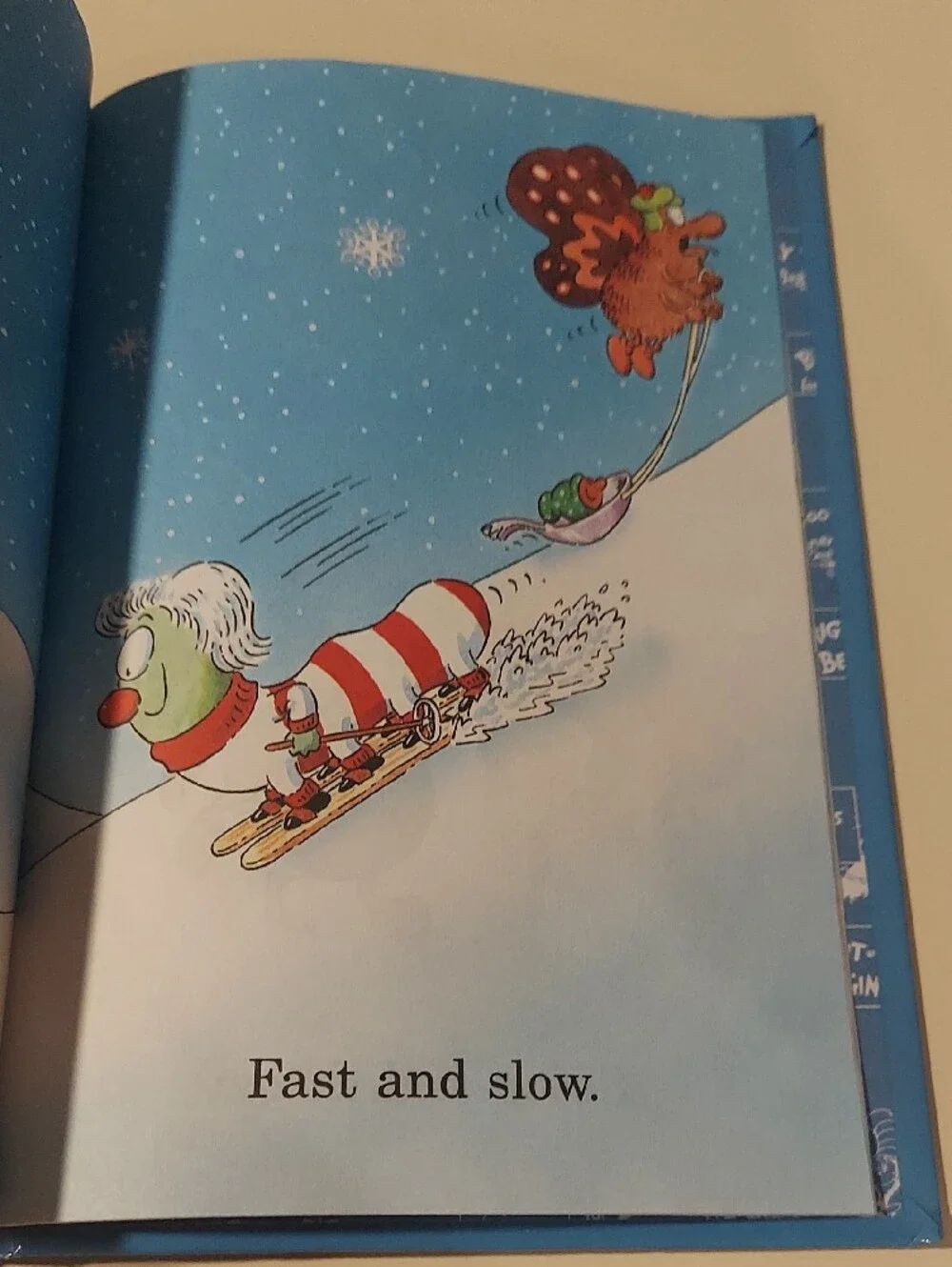 Snow Bugs By Susan Schade & Jon Buller Hardcover Book